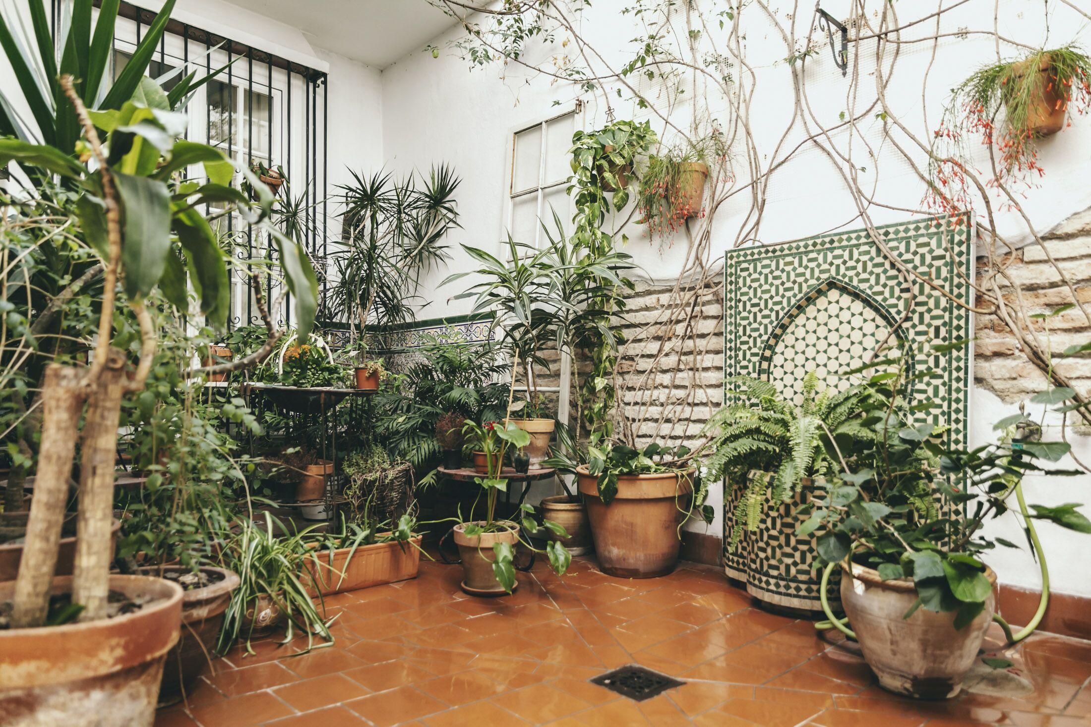 El Riad Andaluz — Fotos 1